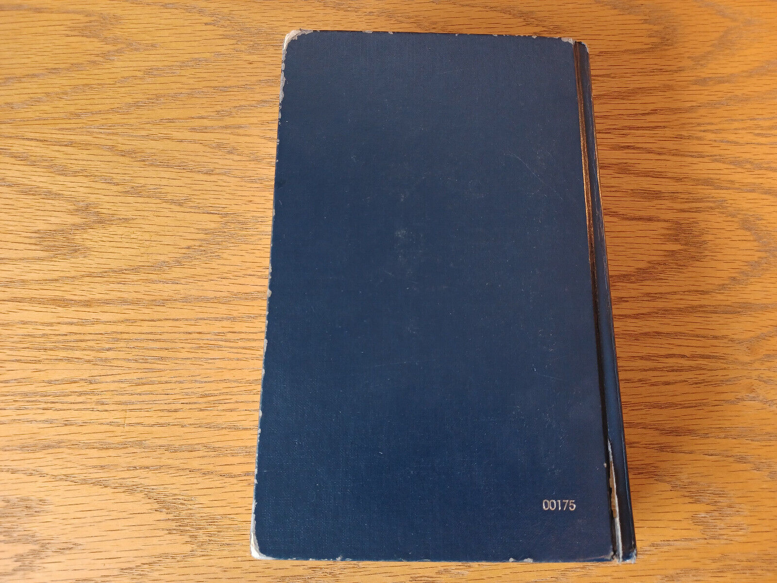 Image #6