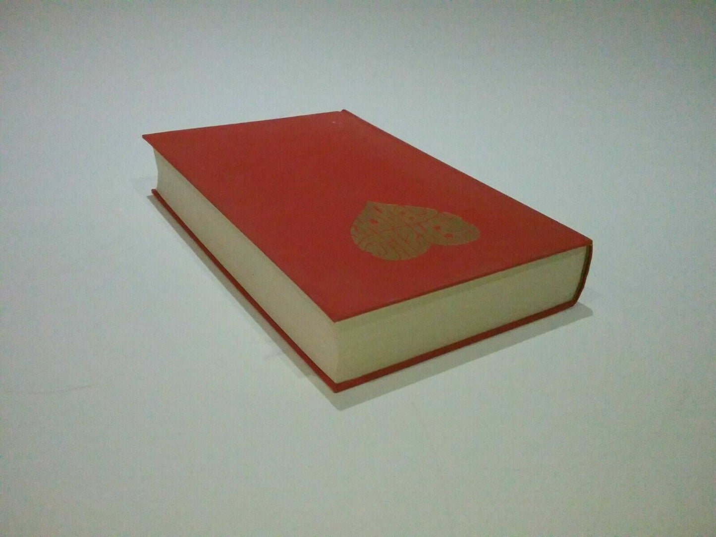Image #5