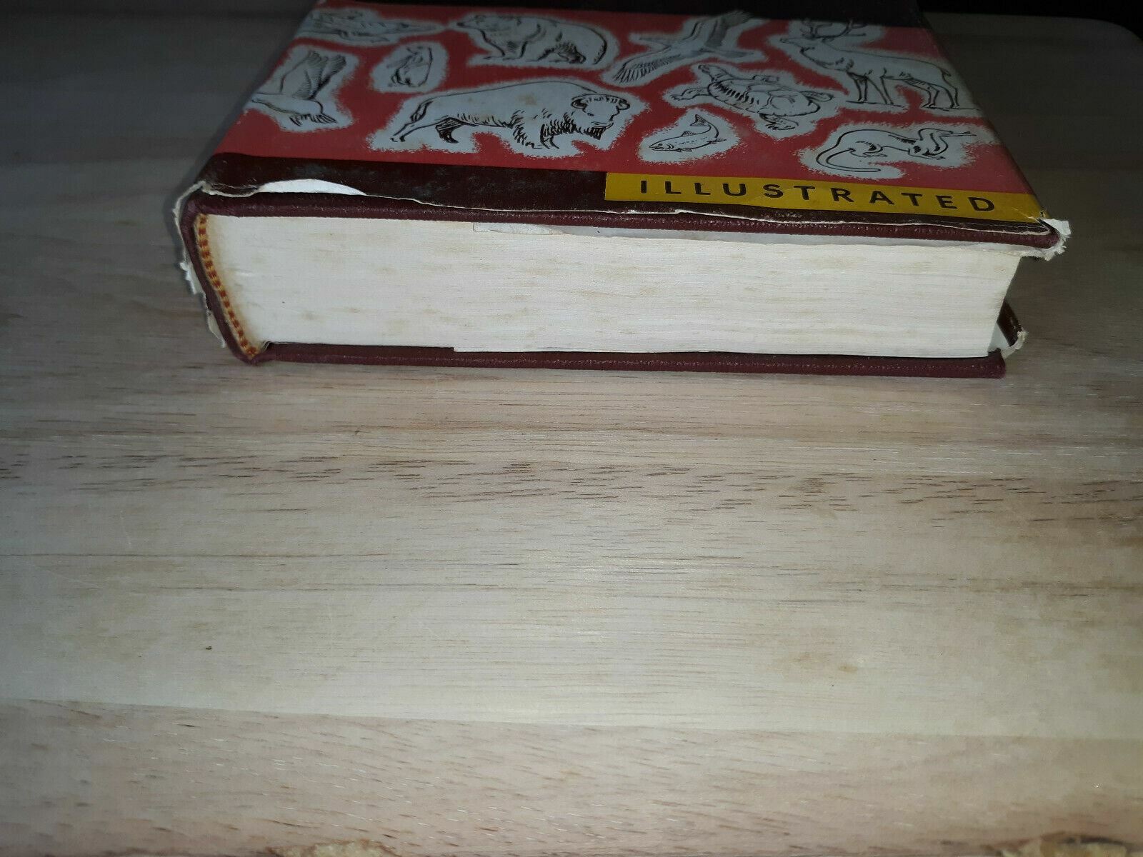 Image #2