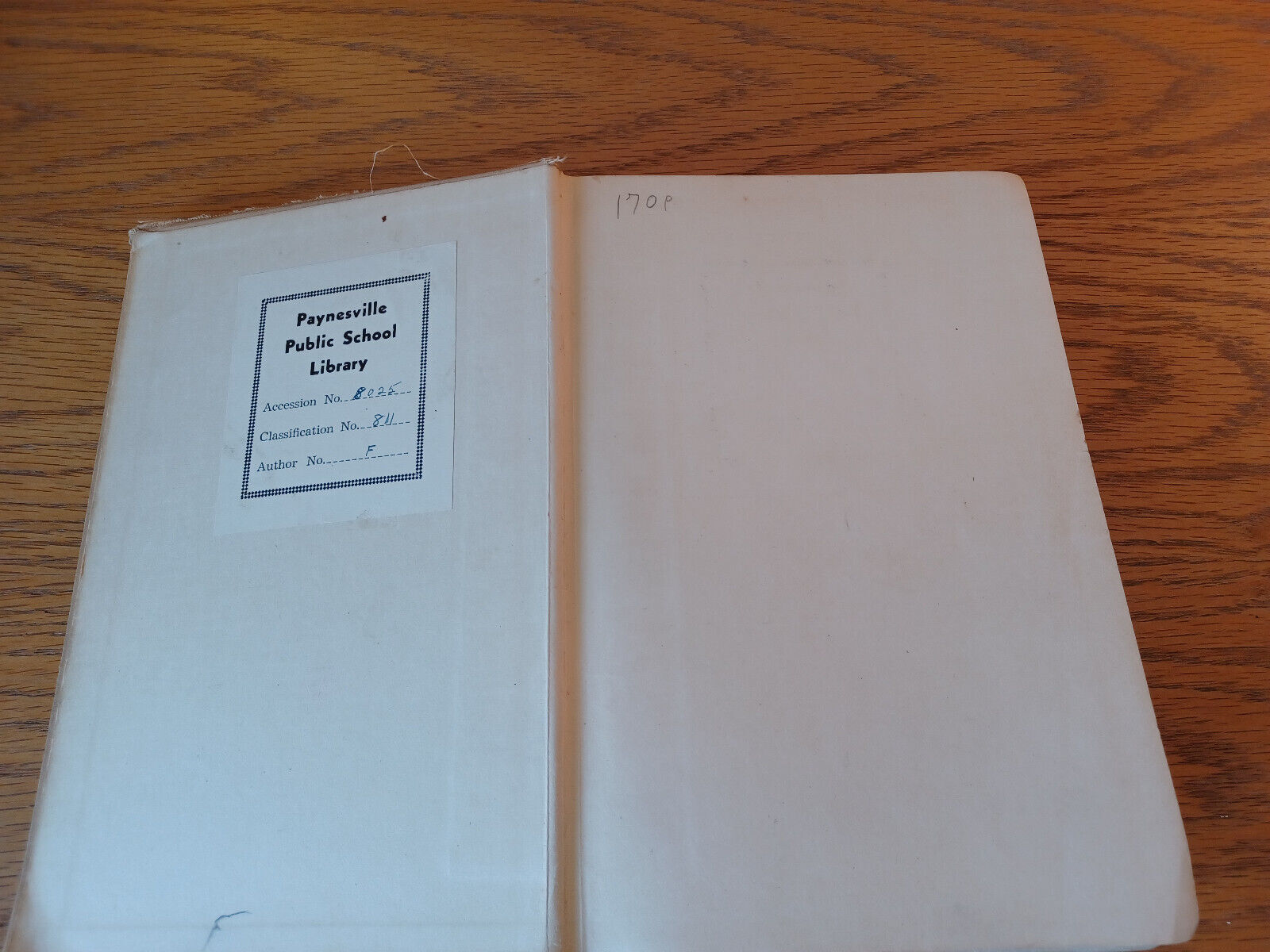 Image #7