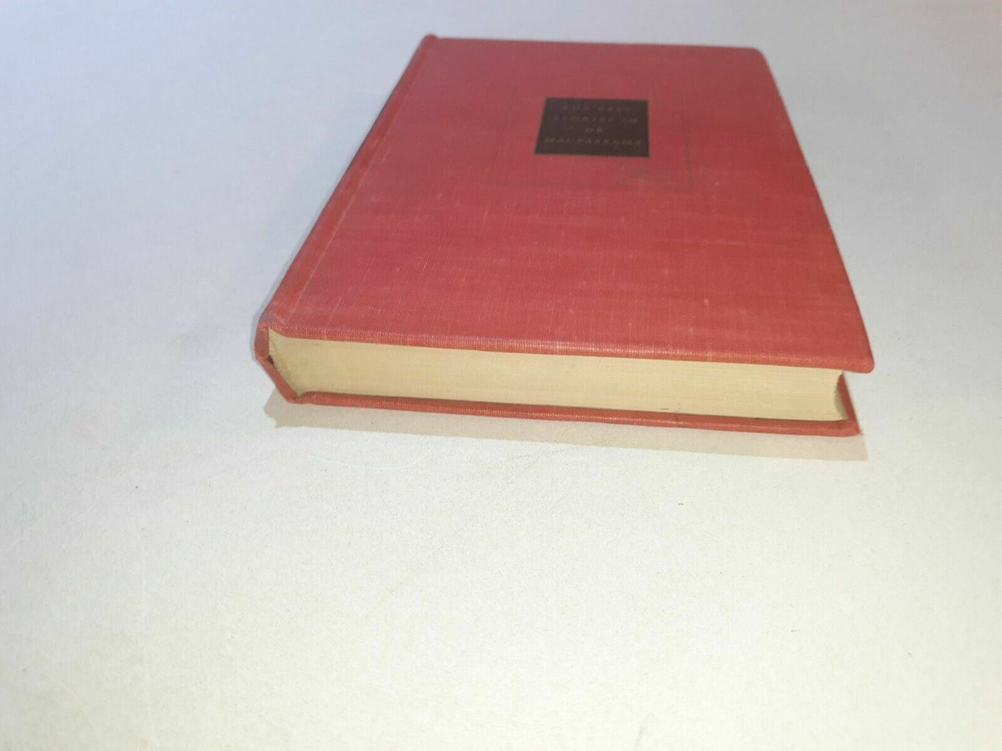 Image #2