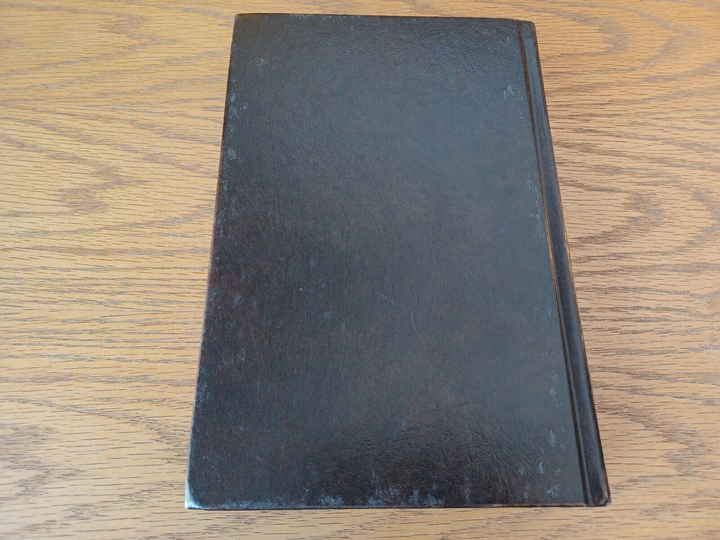 Image #6