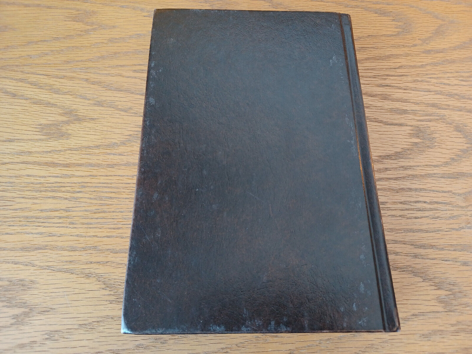 Image #6