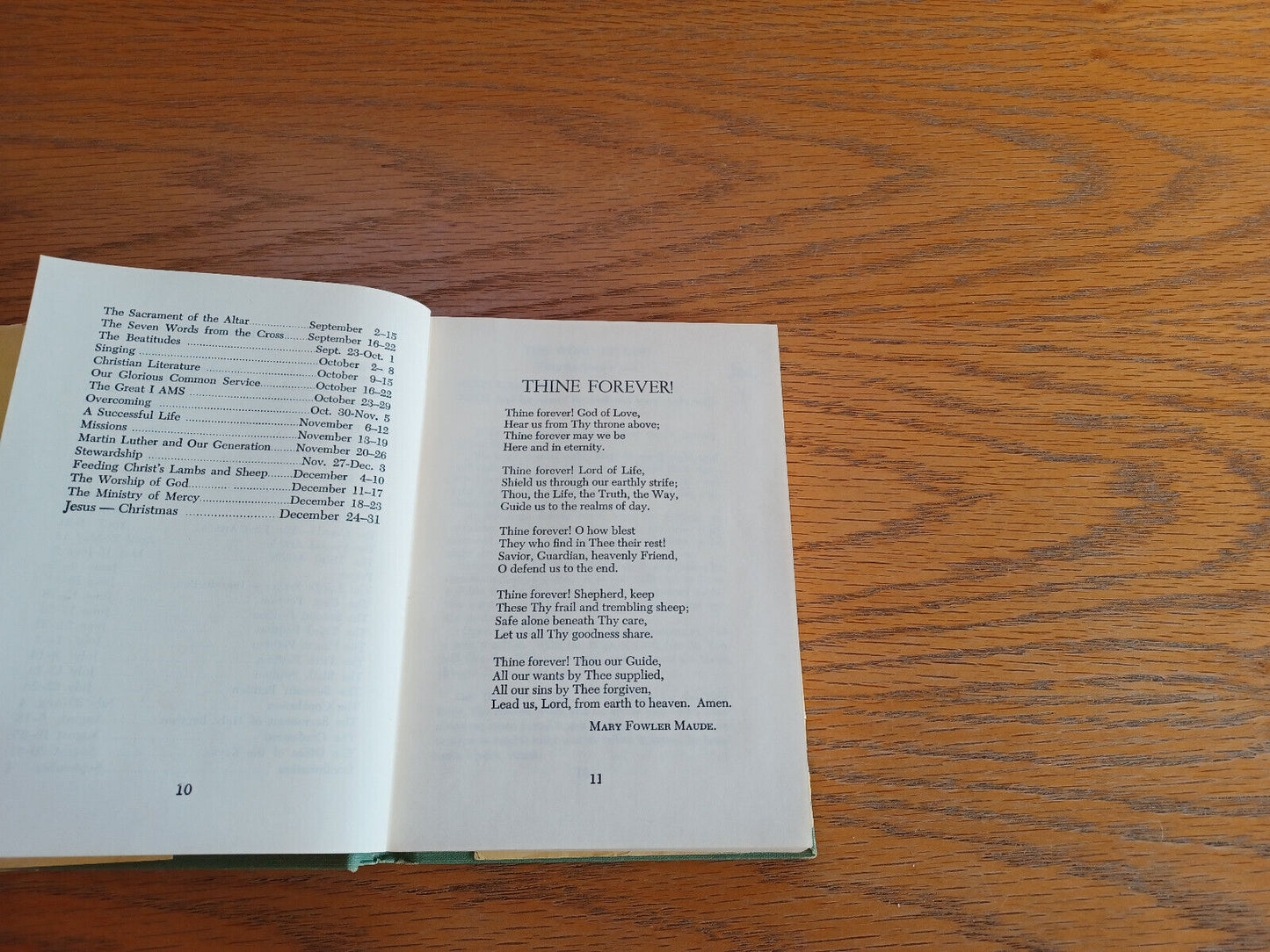 Image #10