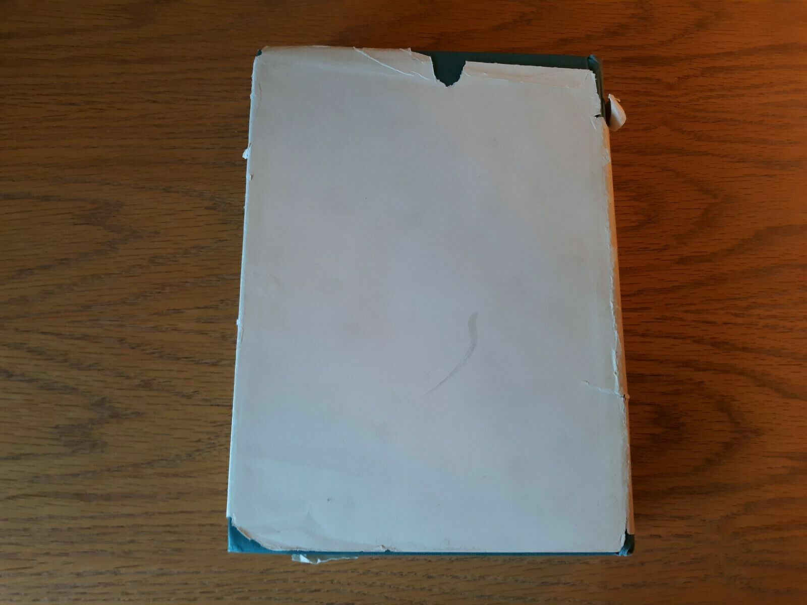 Image #6