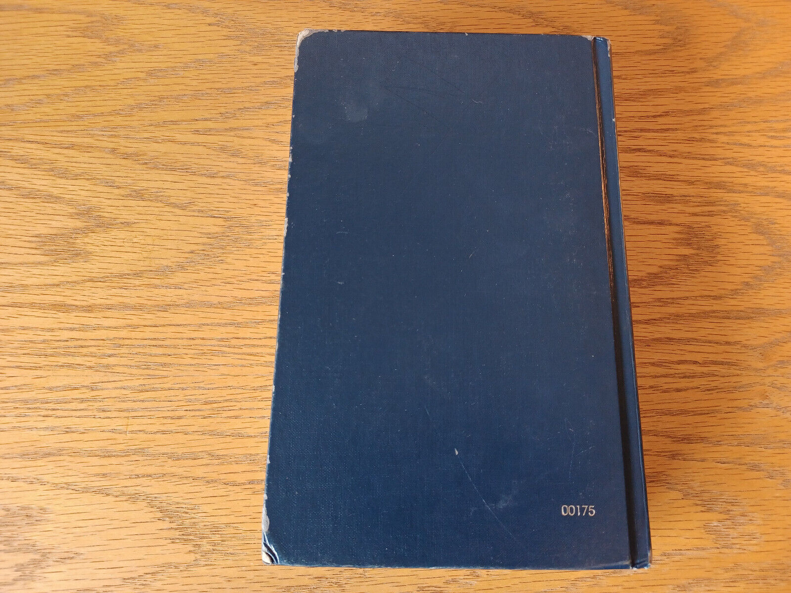 Image #6