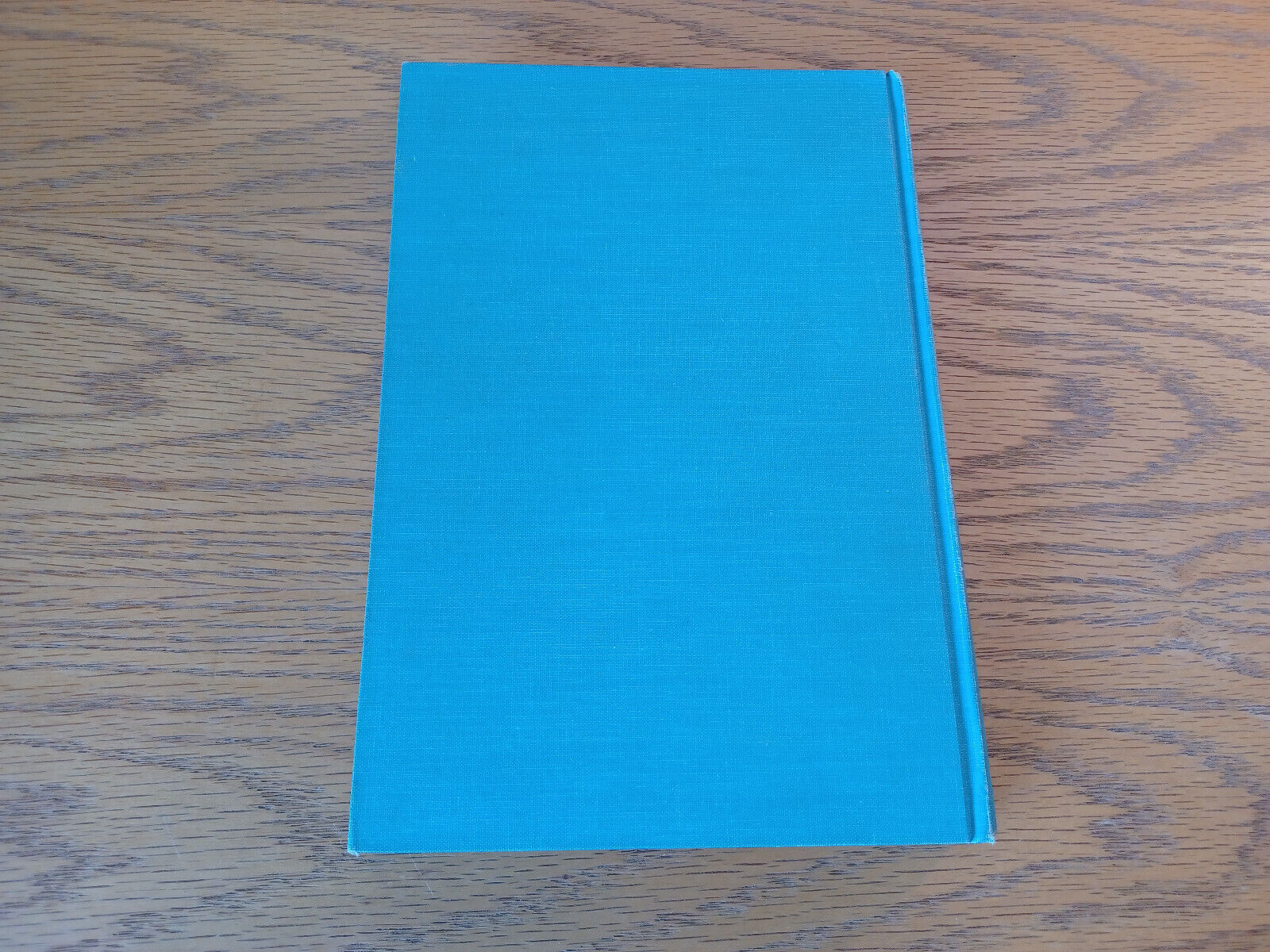Image #6
