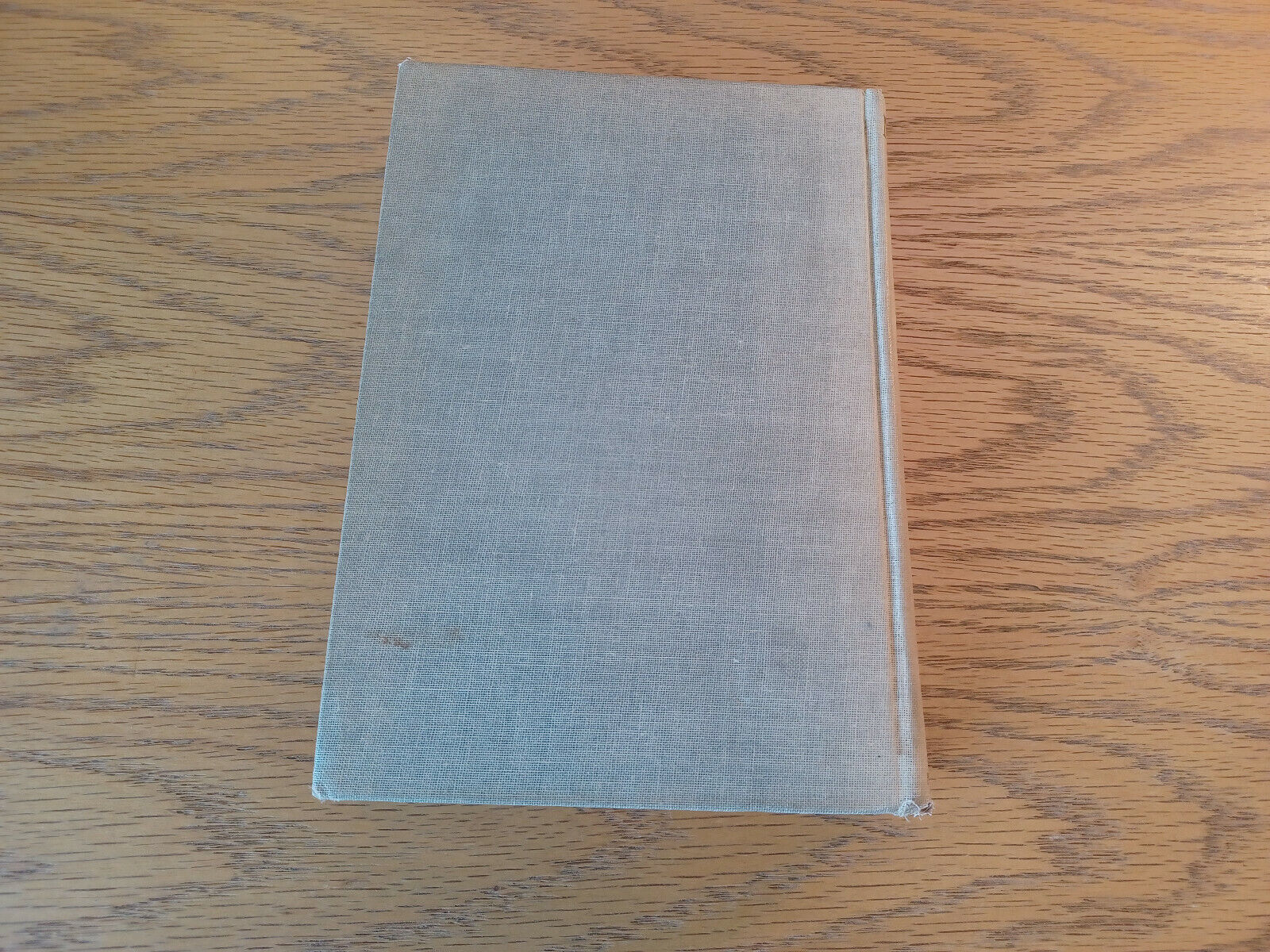 Image #6