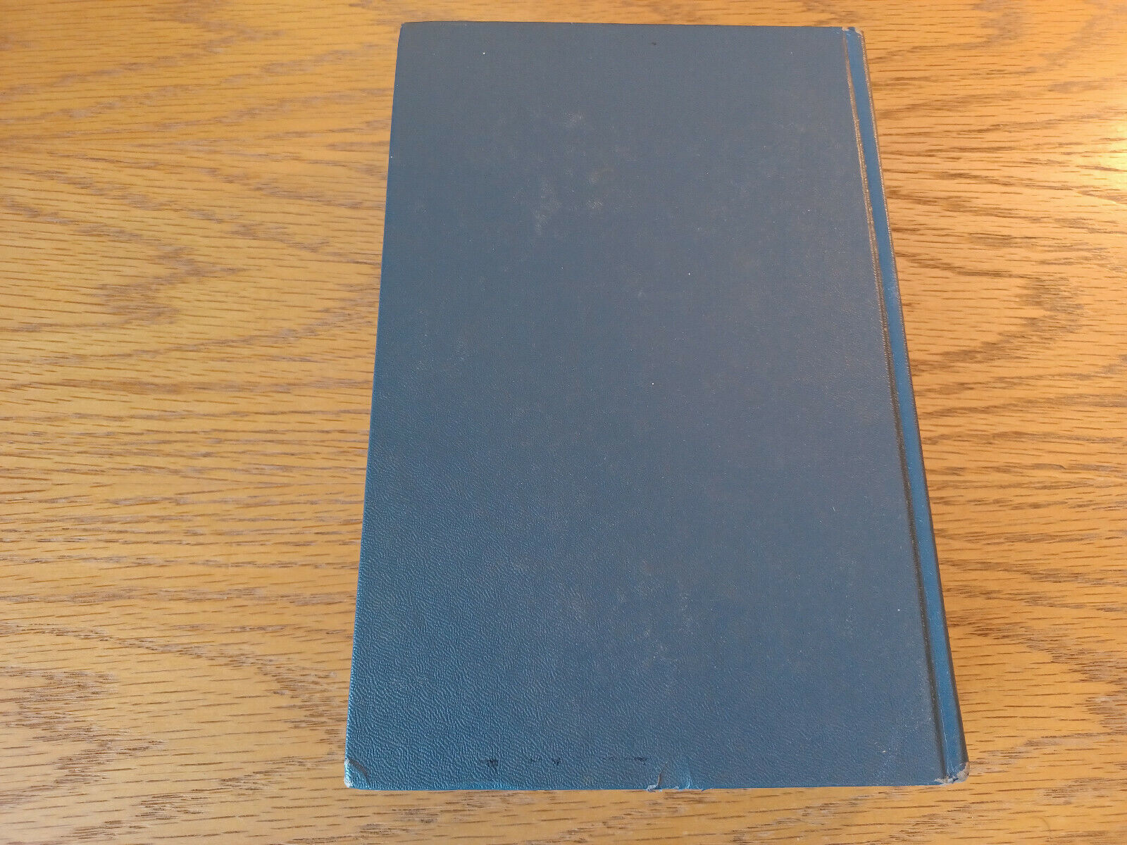 Image #6