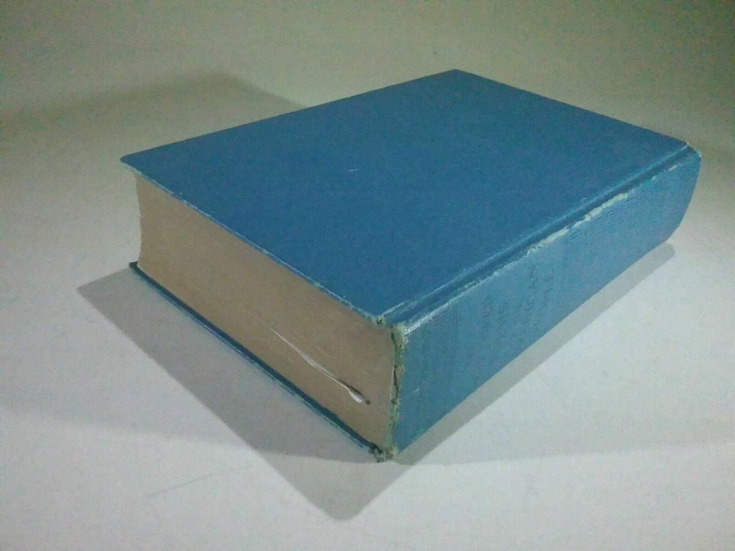 Image #6