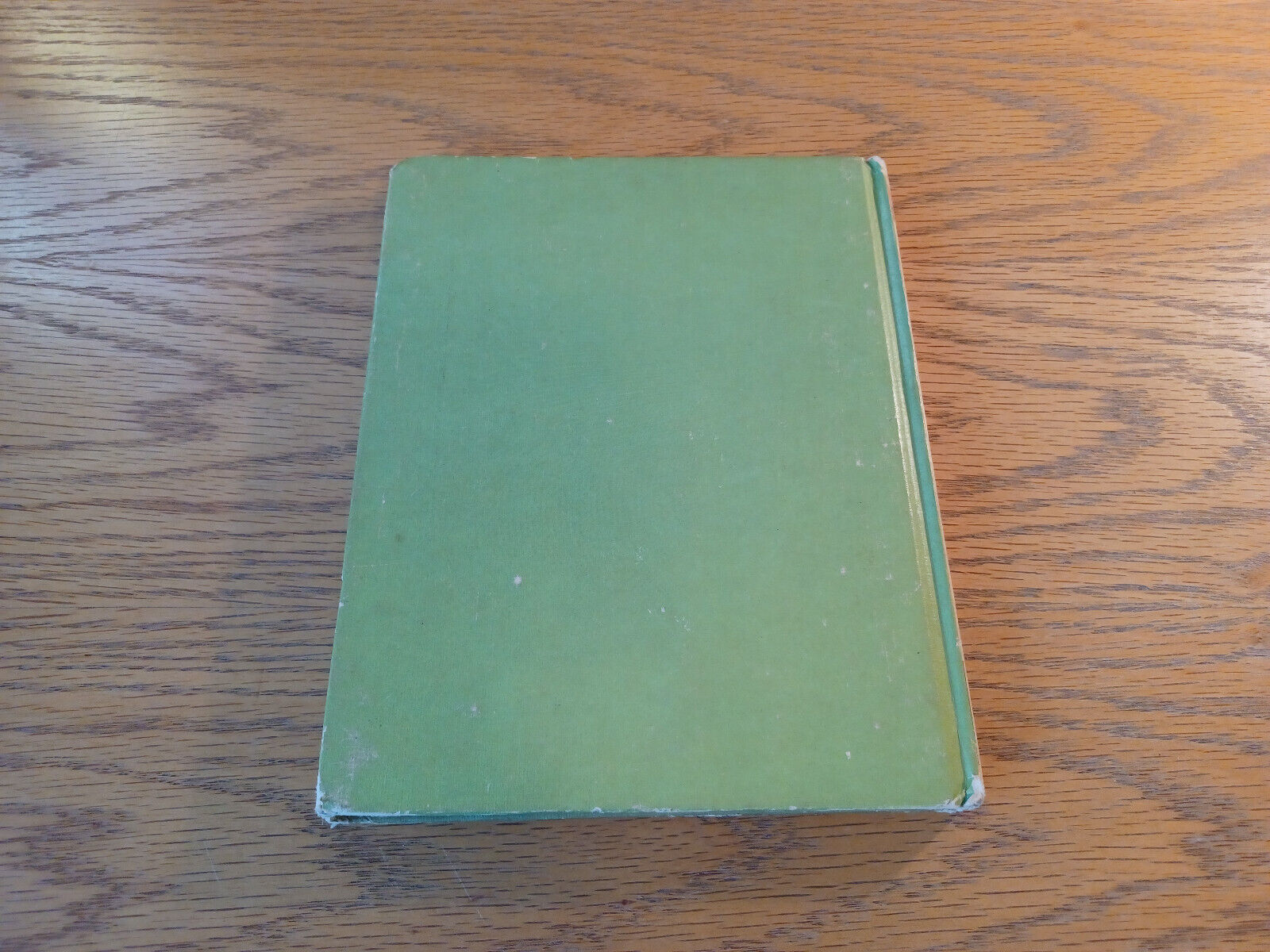 Image #6