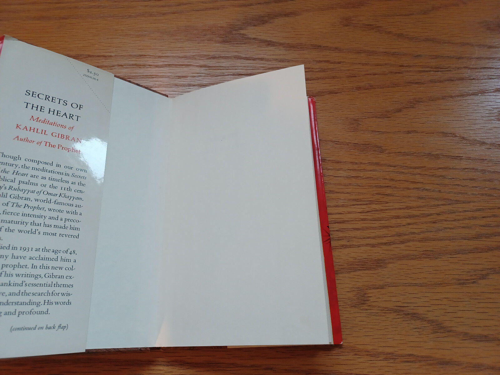 Image #7