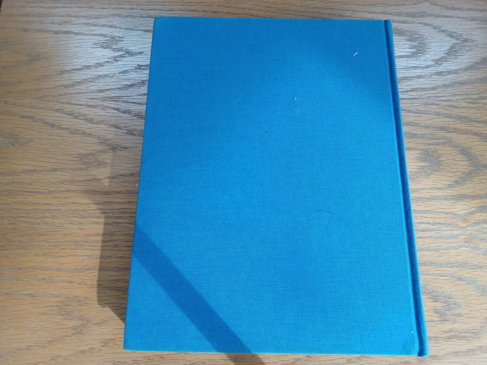Image #6