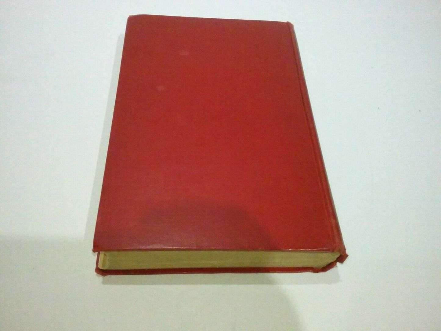 Image #7