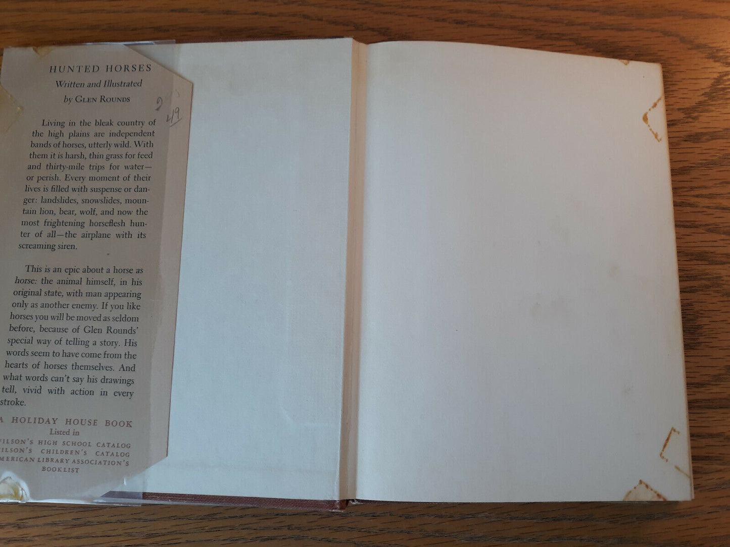 Image #7