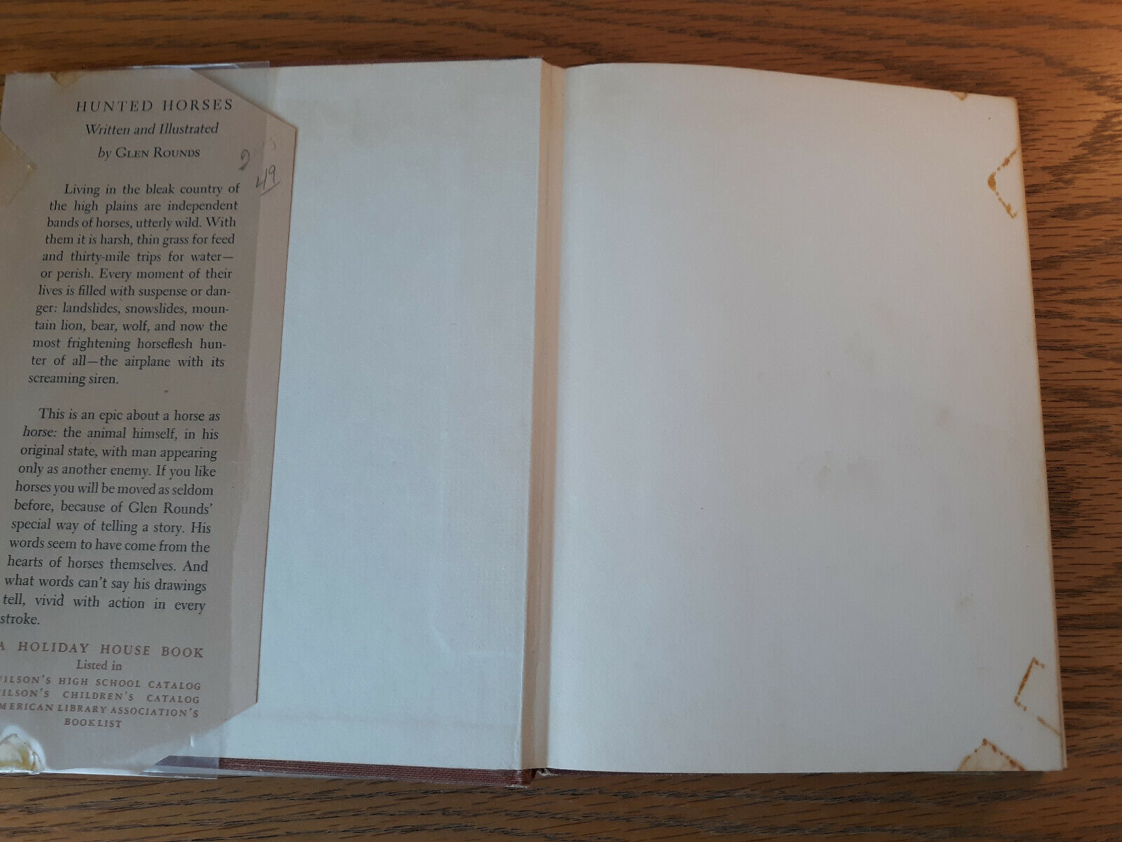 Image #7