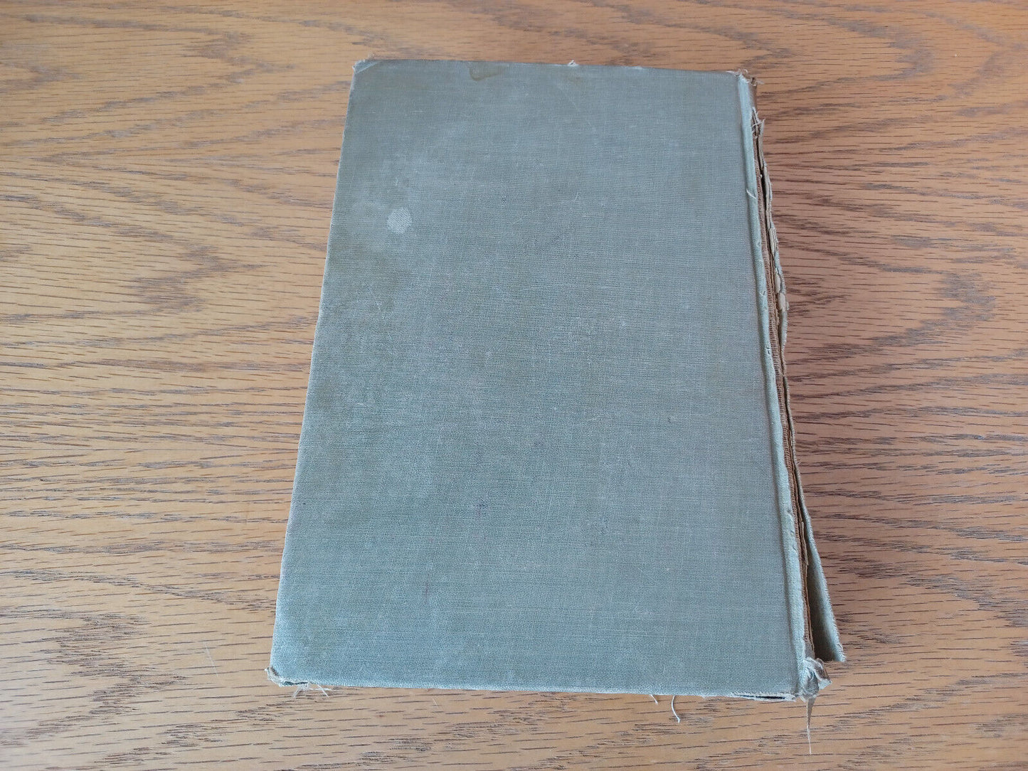Image #6