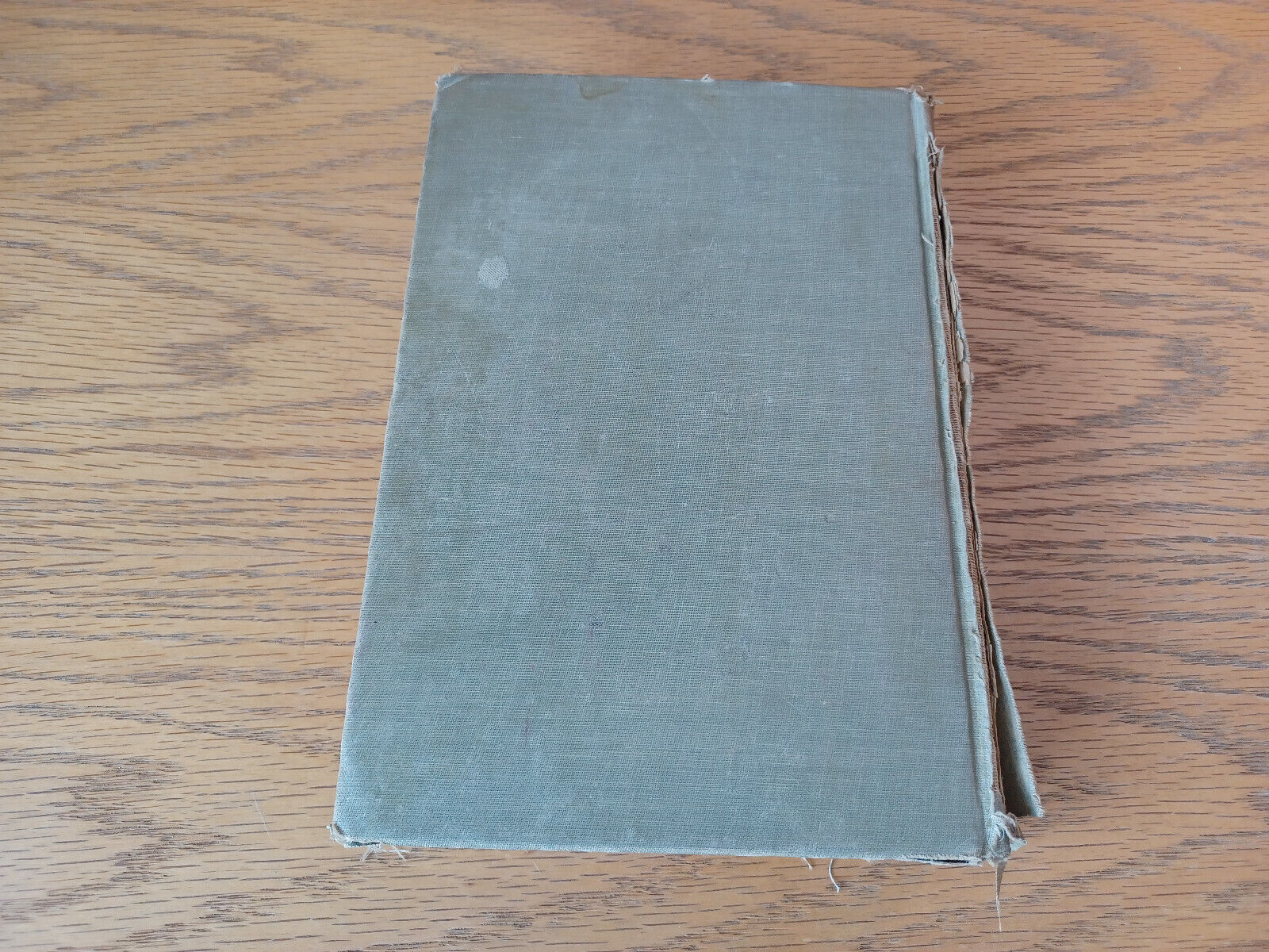 Image #6