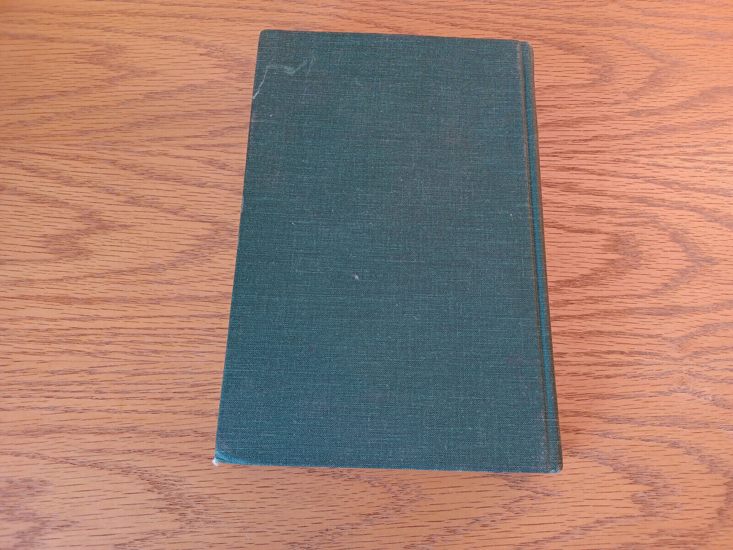 Image #6