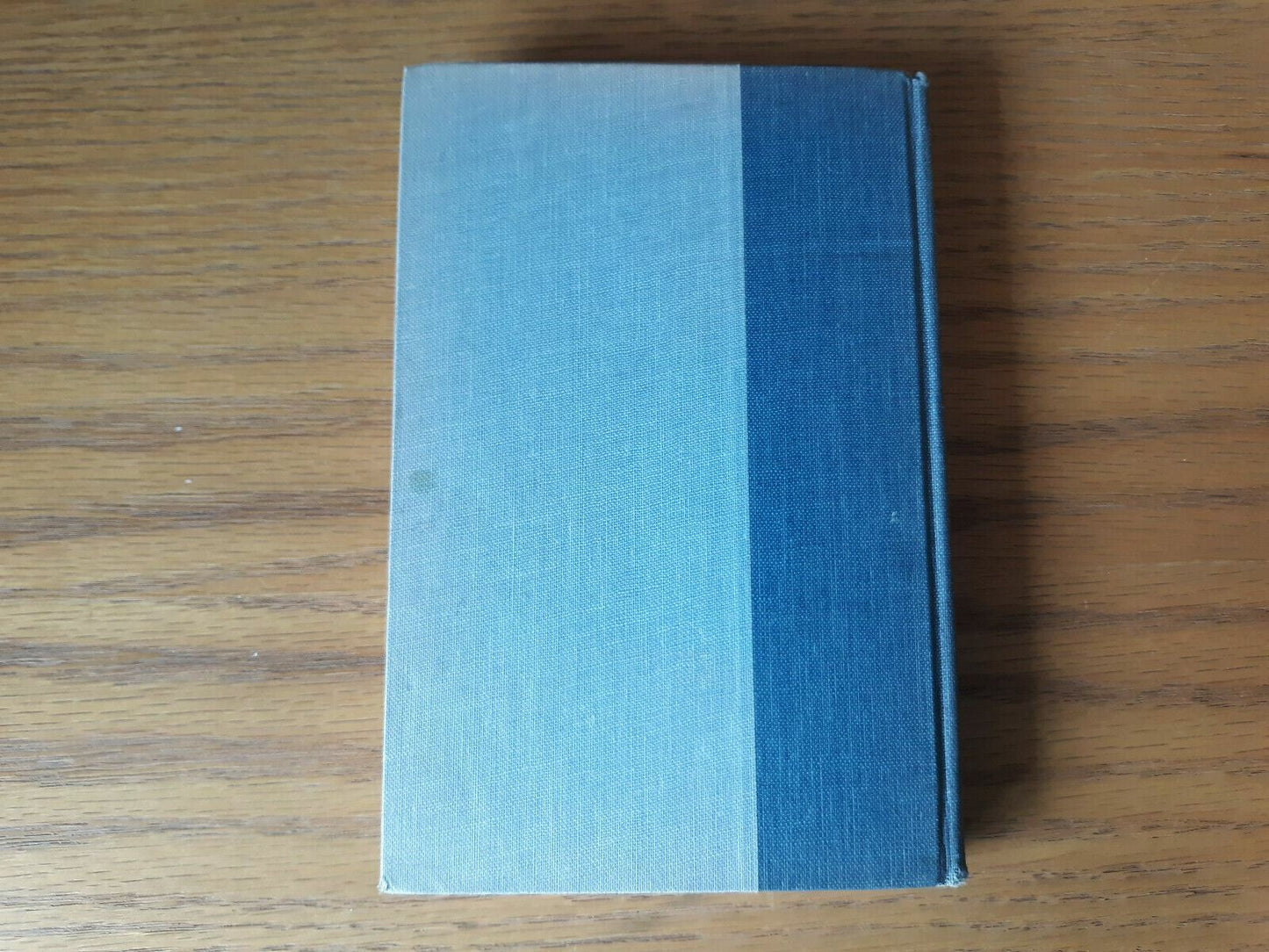 Image #6