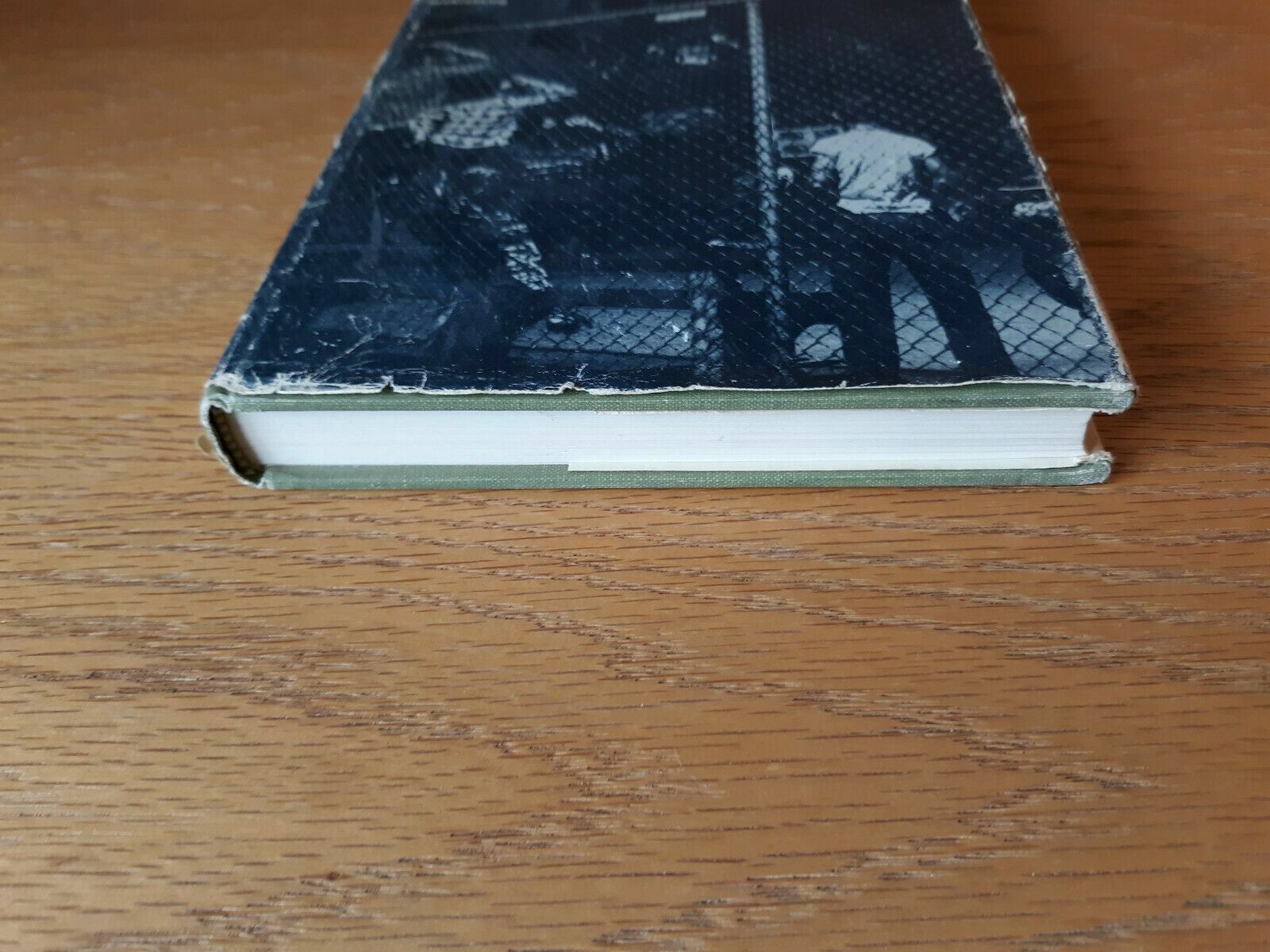 Image #2