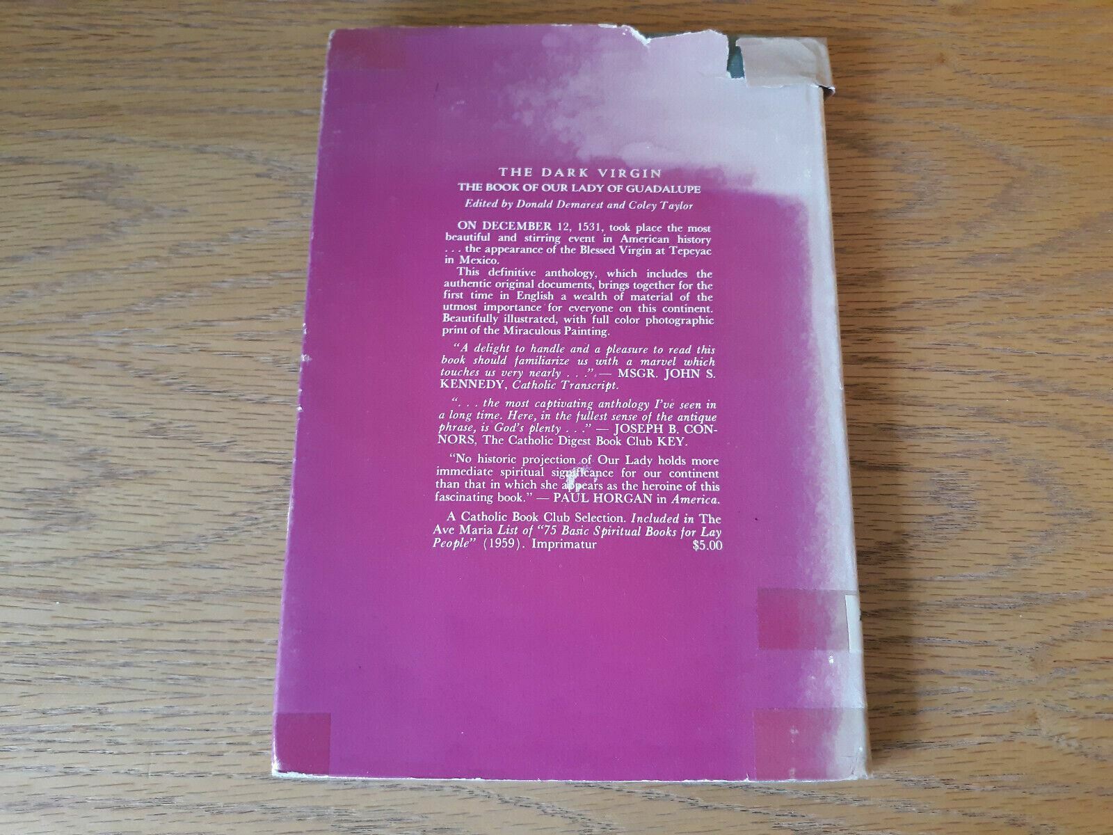 Image #6