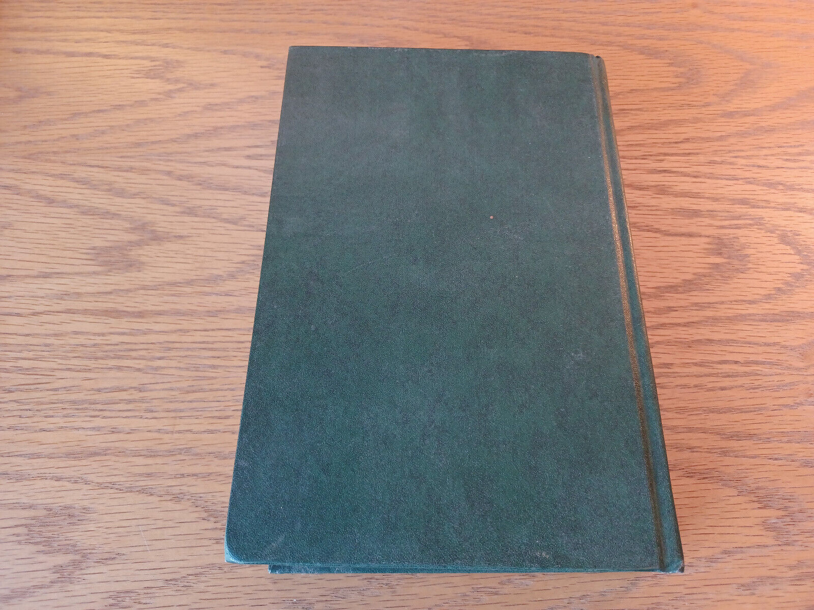 Image #6