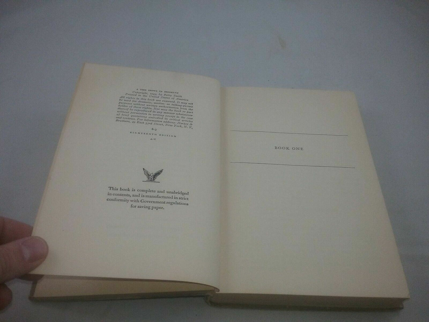 Image #8