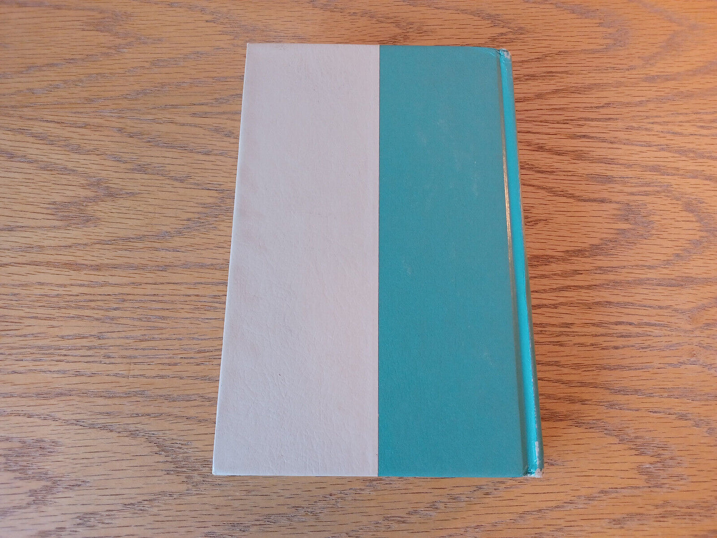 Image #6