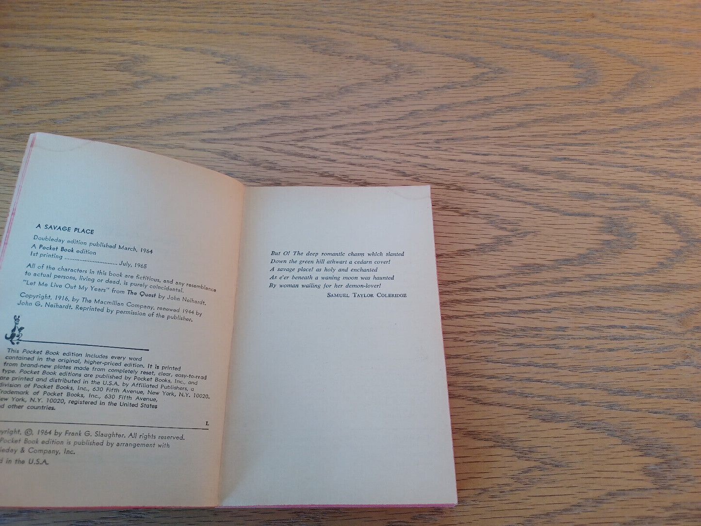 Image #8