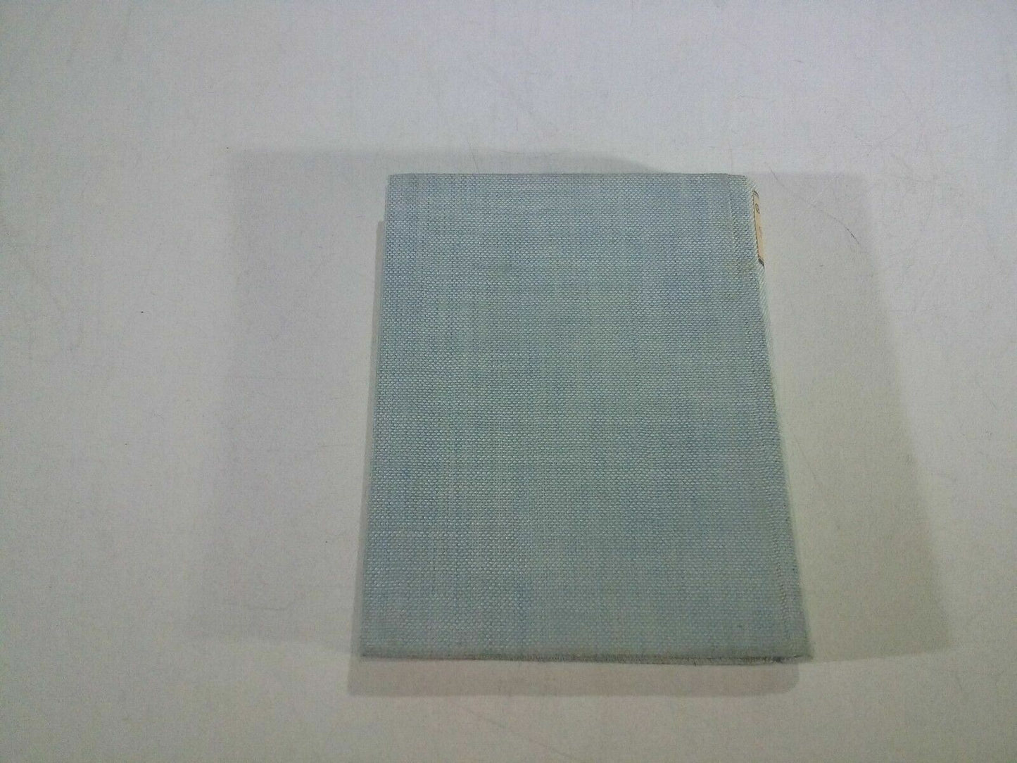 Image #5