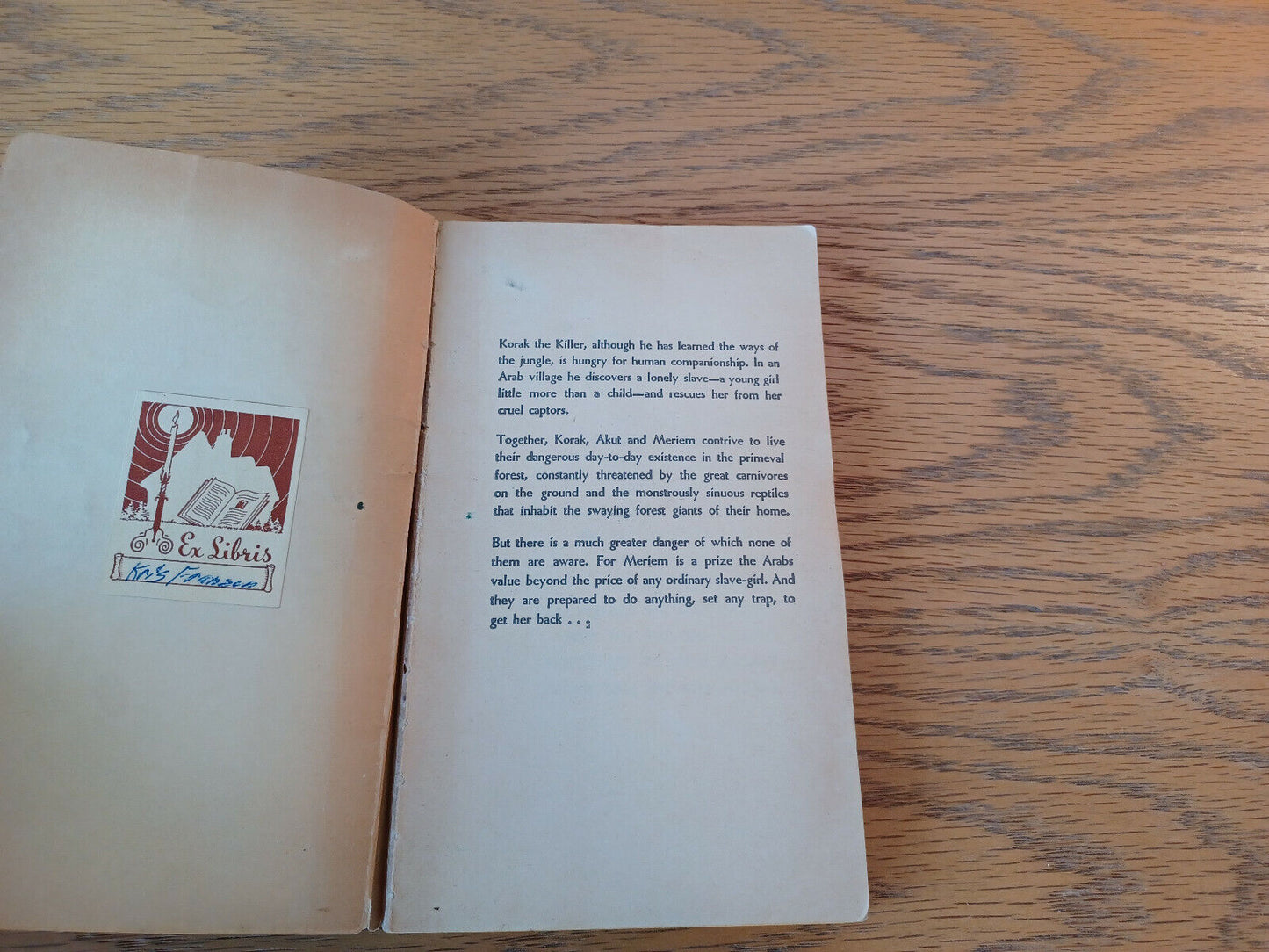 Image #7