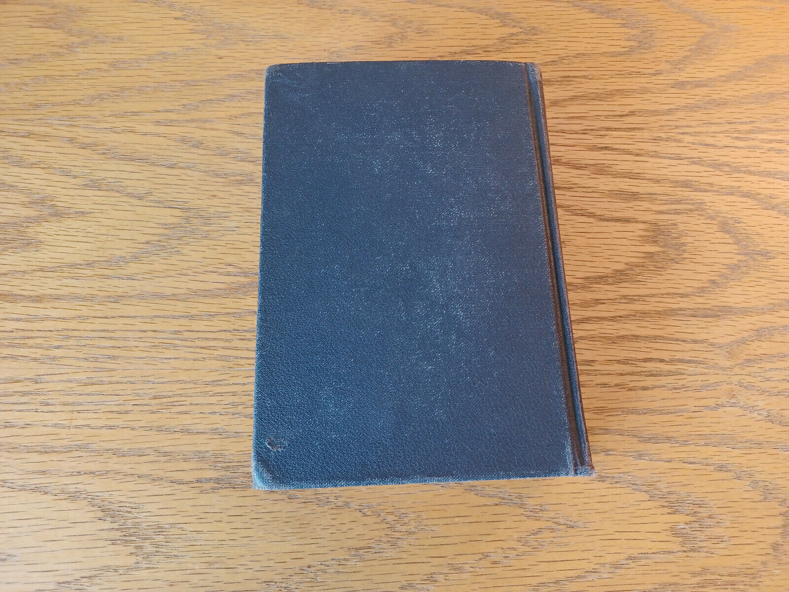 Image #6