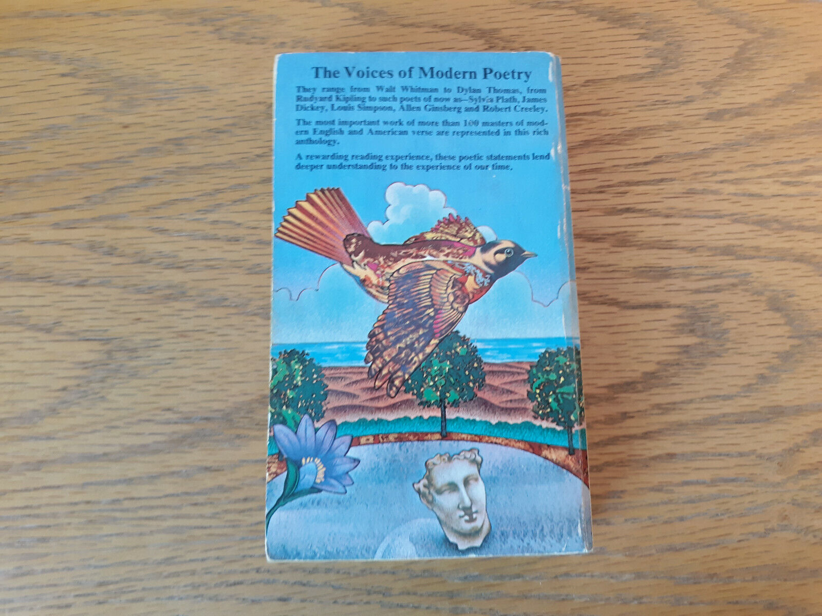 Image #6