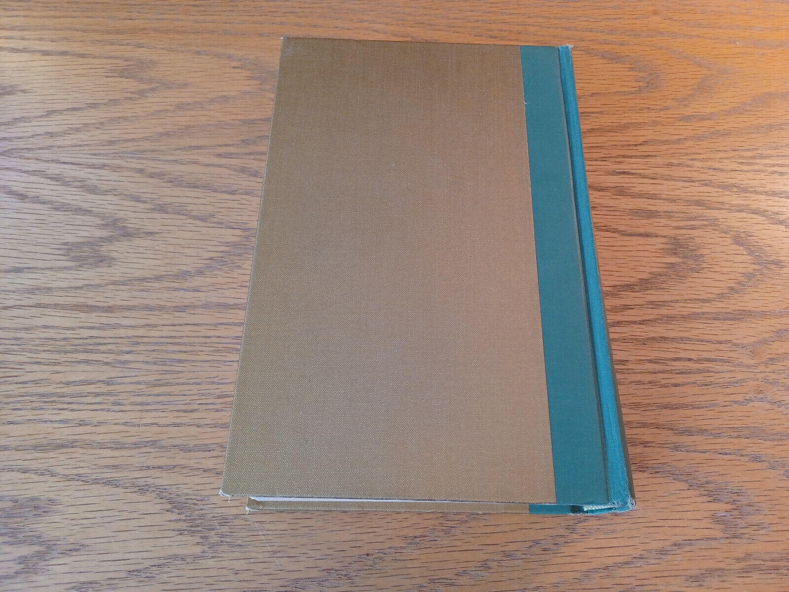 Image #6