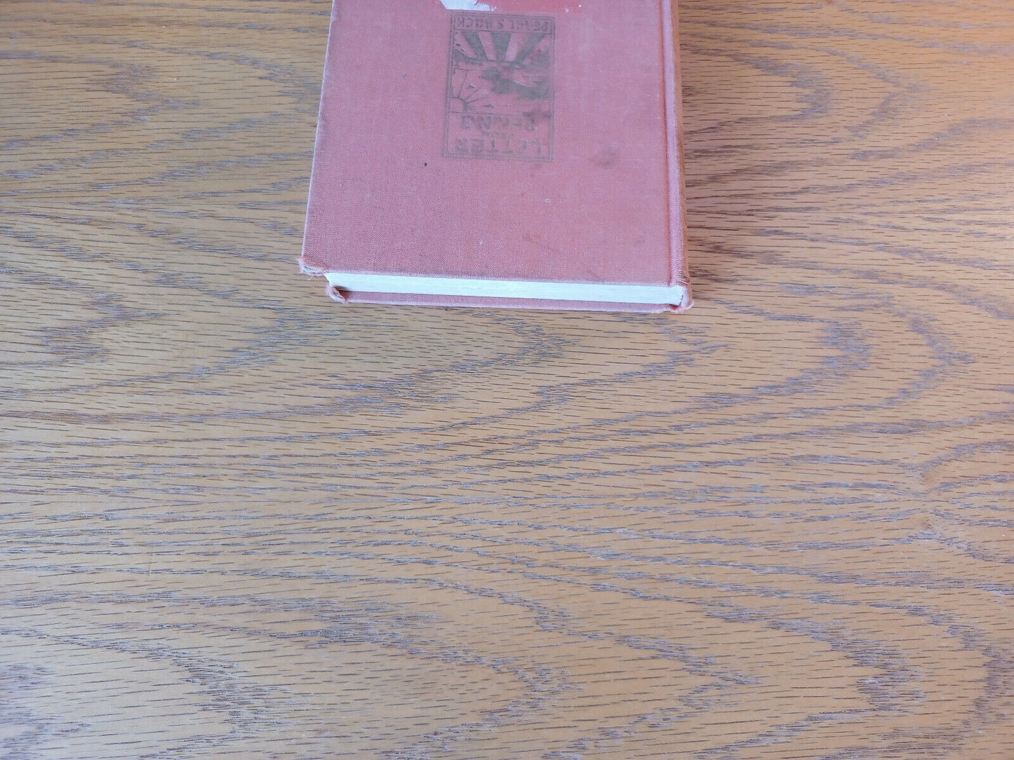 Image #4
