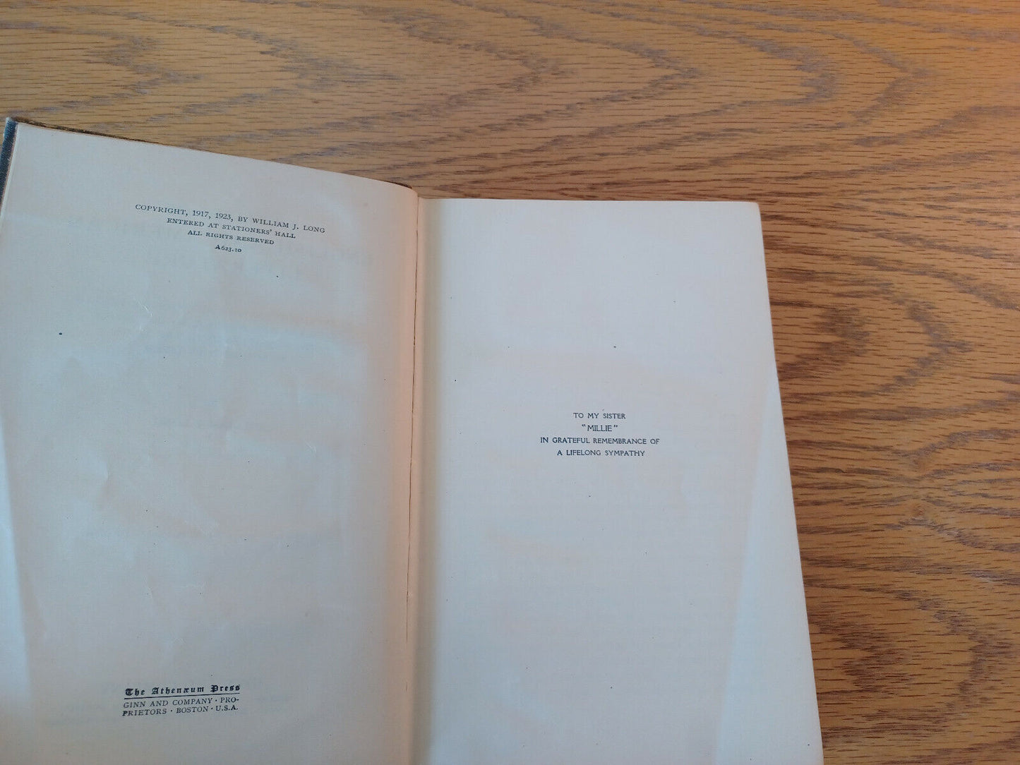 Image #8