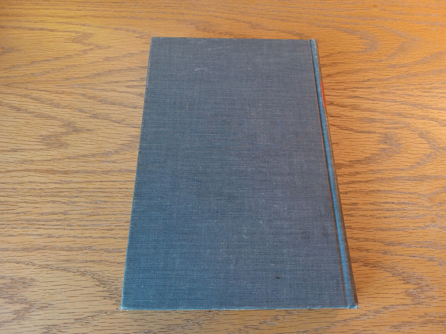 Image #6
