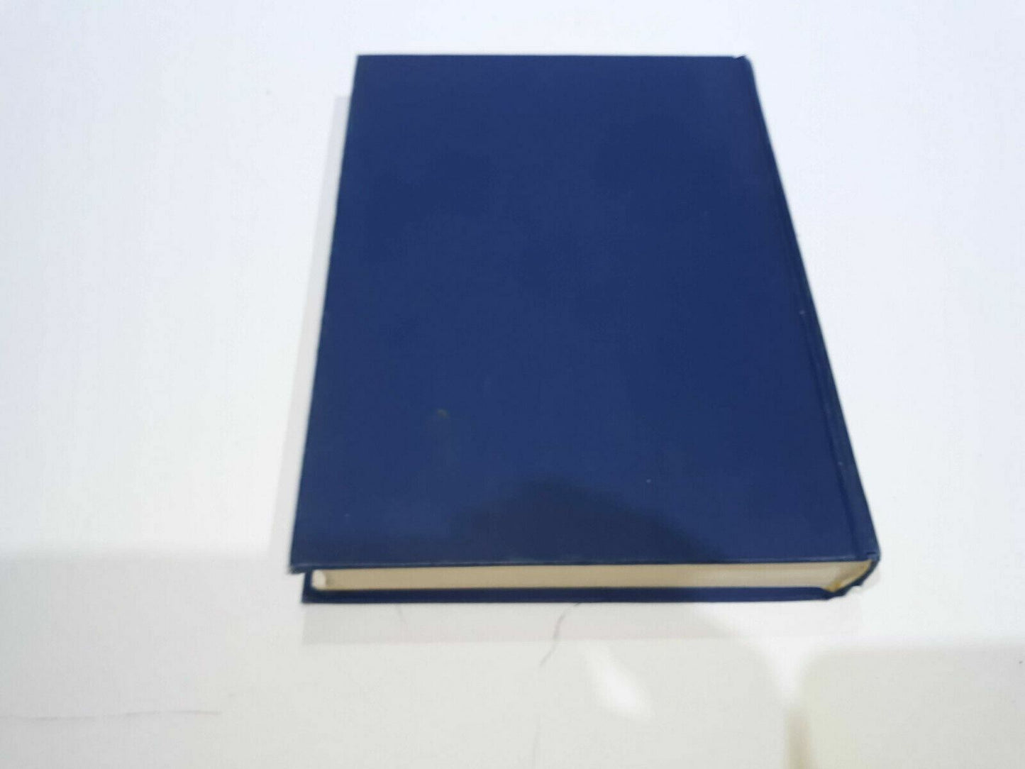 Image #7