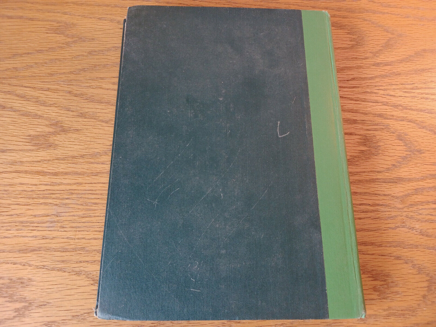 Image #6