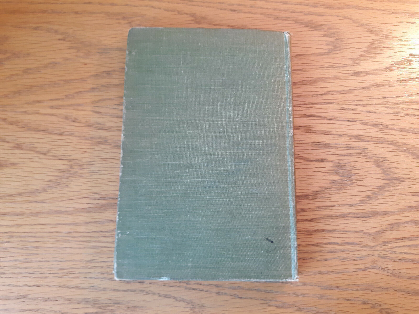 Image #6