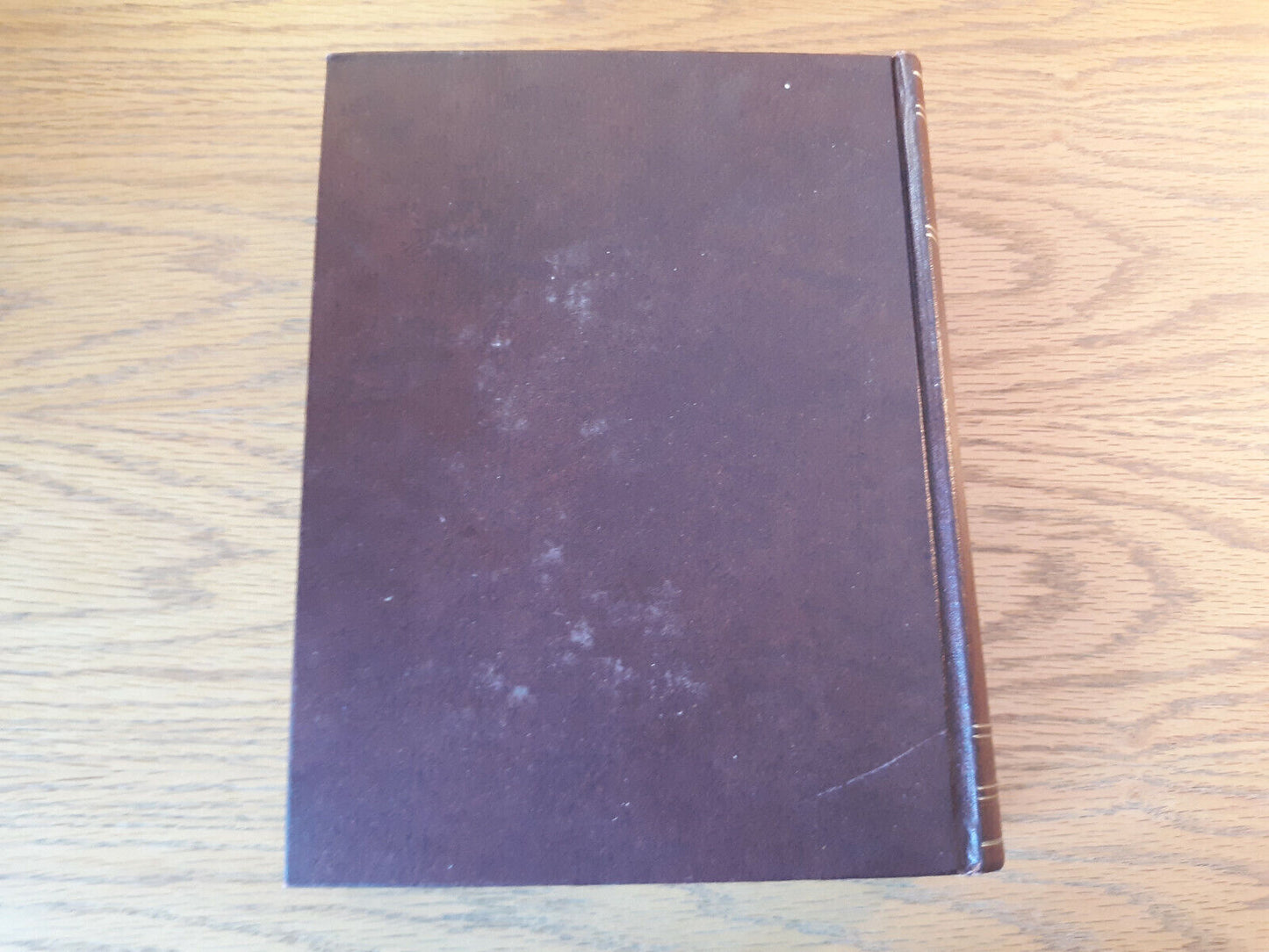 Image #6