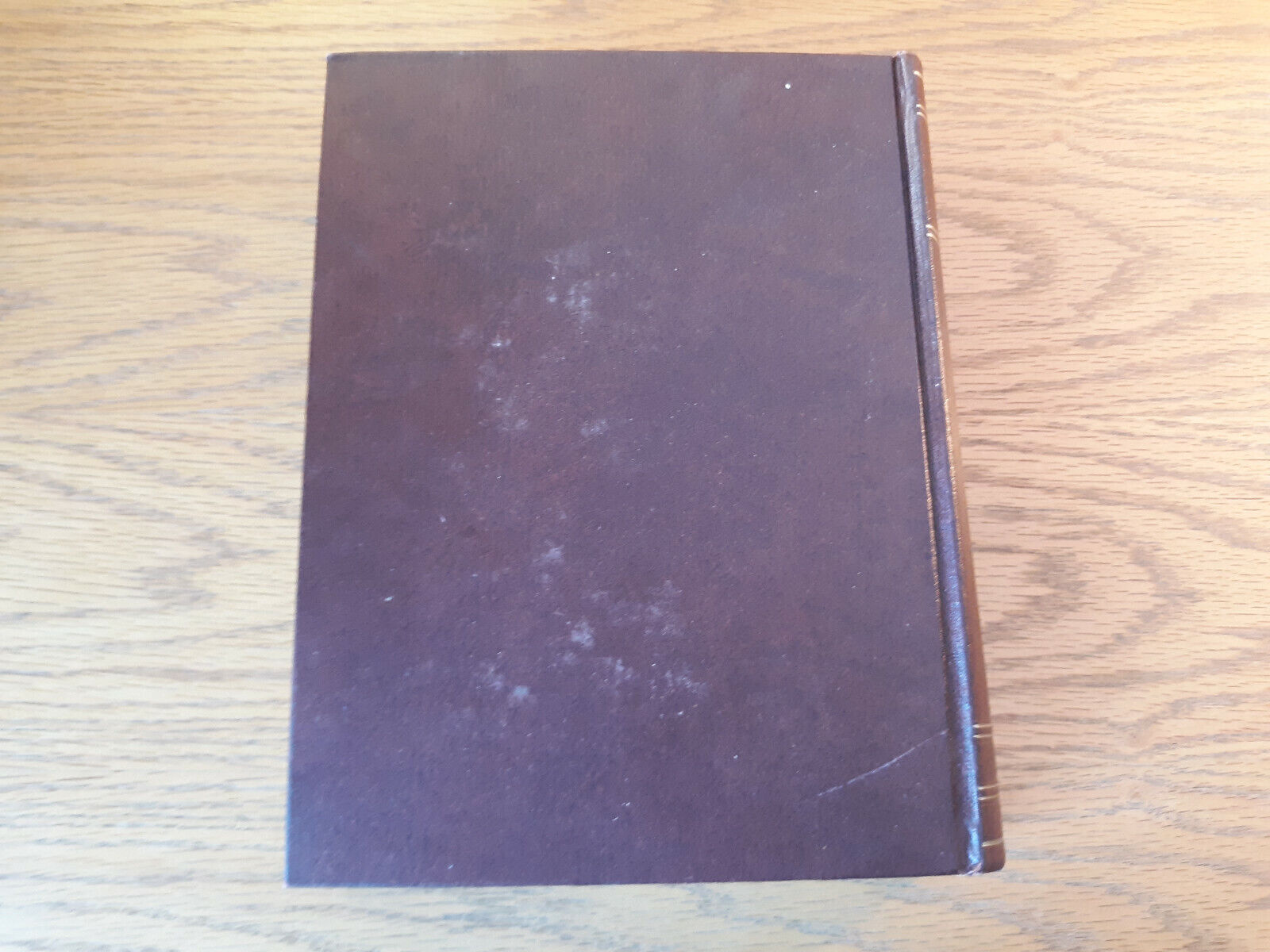 Image #6