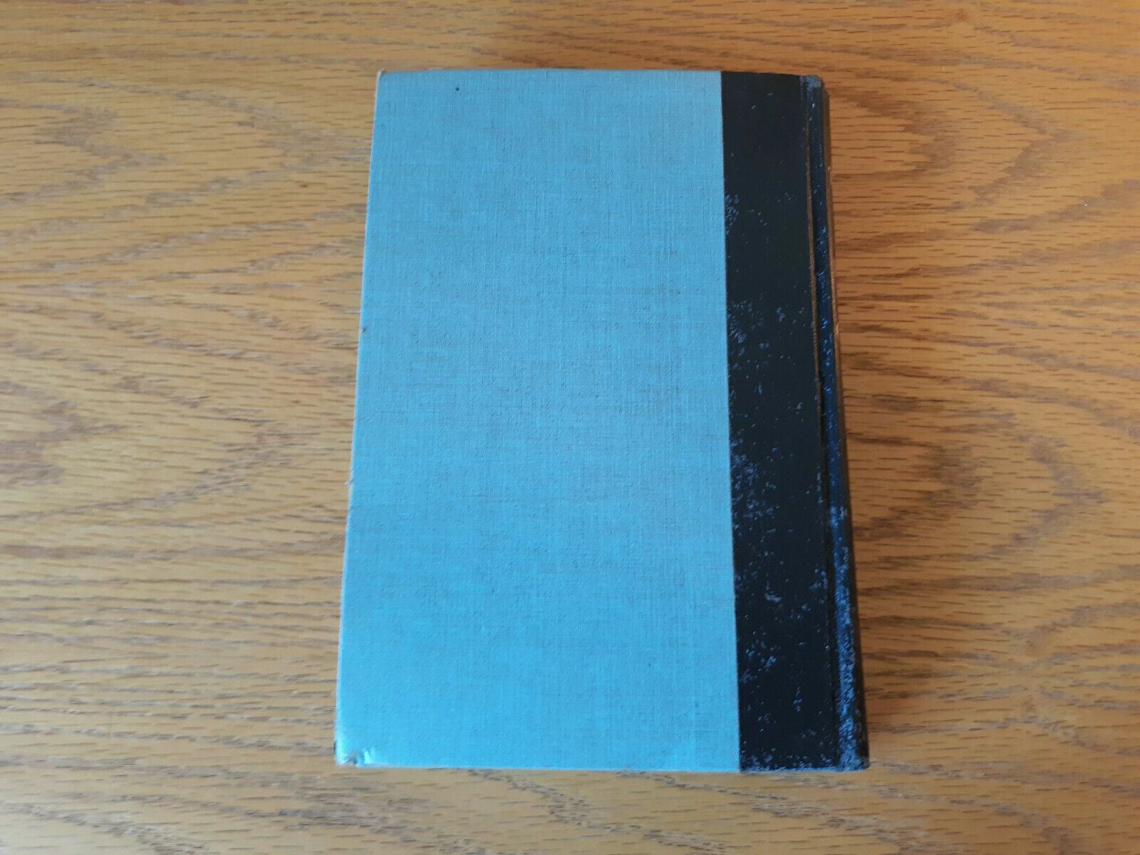 Image #6