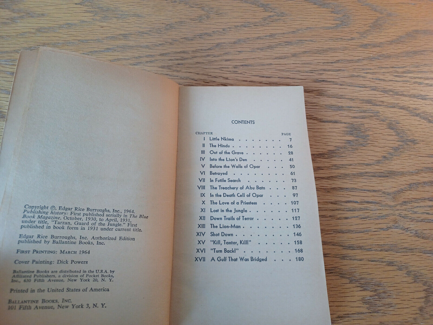 Image #8