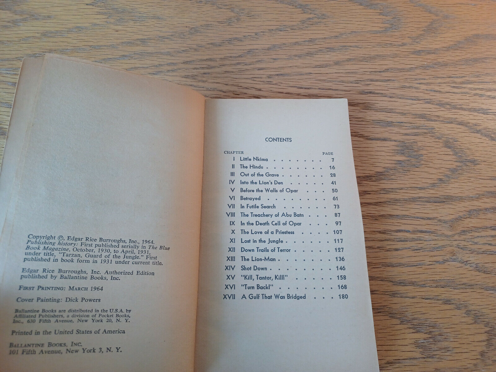 Image #8