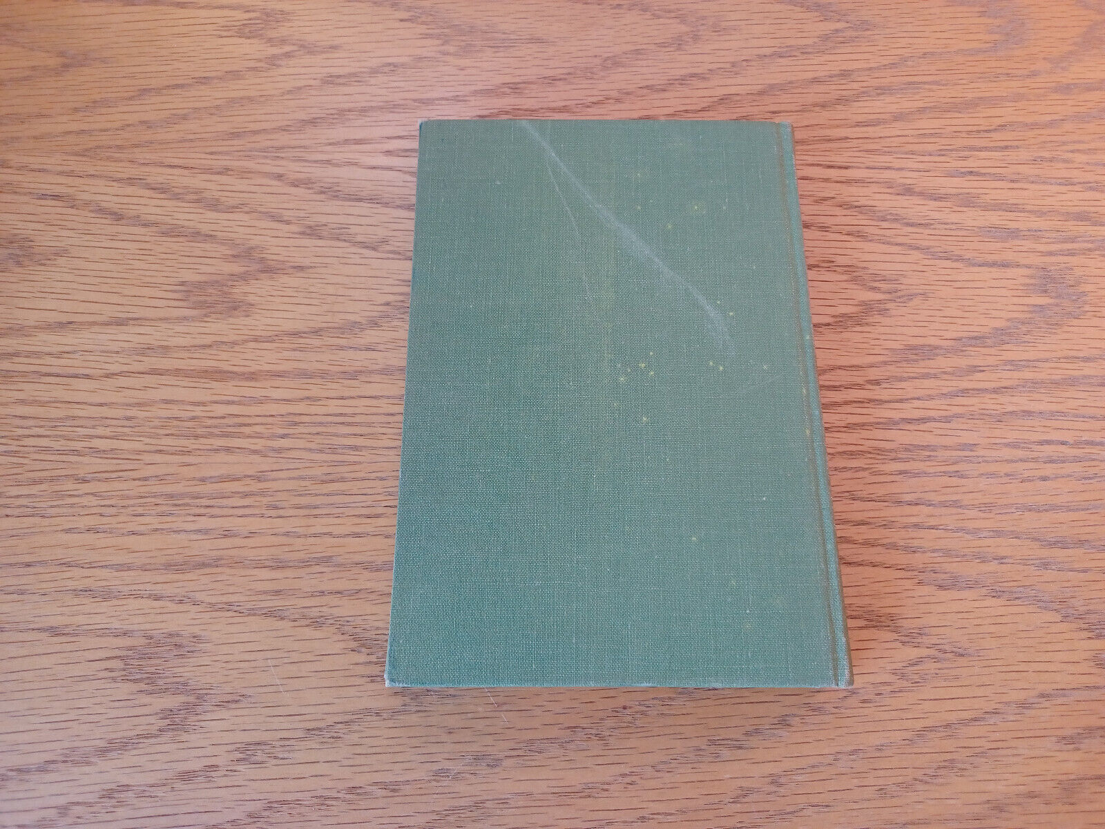 Image #6