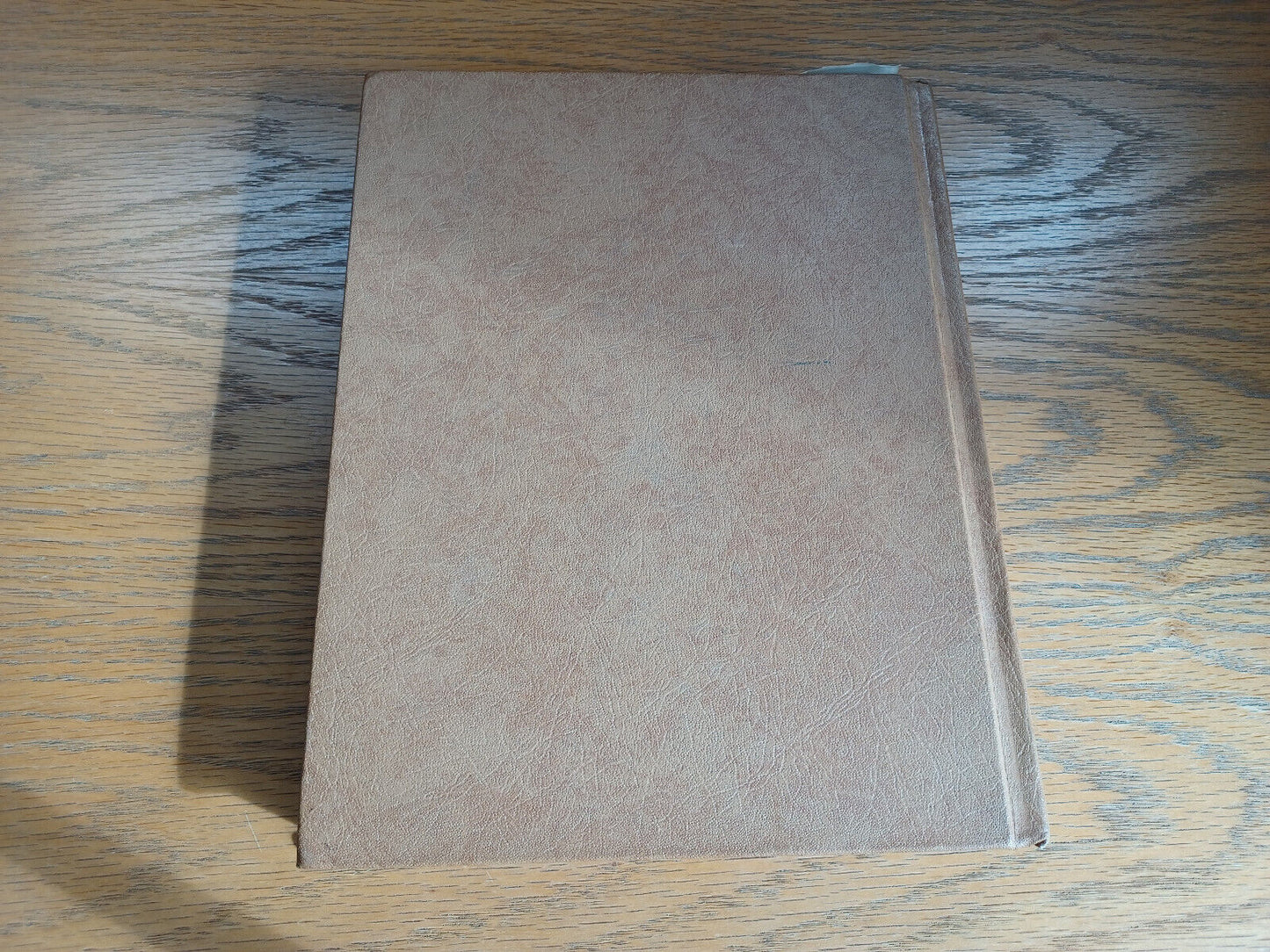Image #6