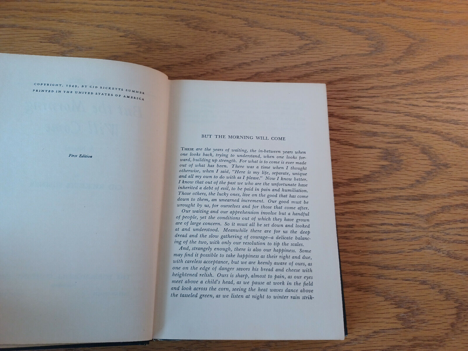 Image #8