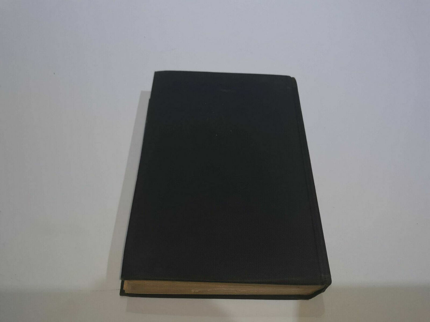 Image #7